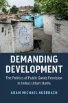 Demanding Development cover