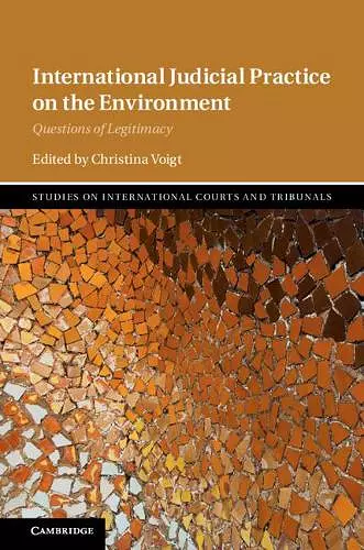 International Judicial Practice on the Environment cover