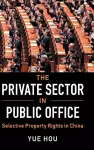 The Private Sector in Public Office cover