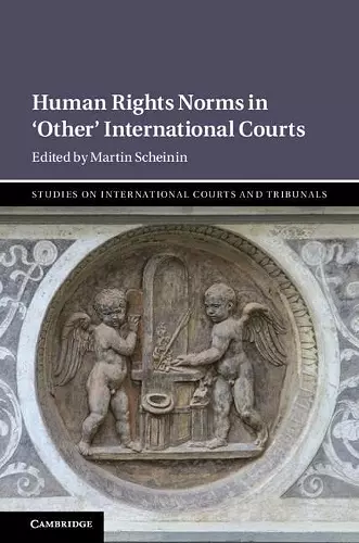 Human Rights Norms in ‘Other' International Courts cover