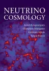 Neutrino Cosmology cover