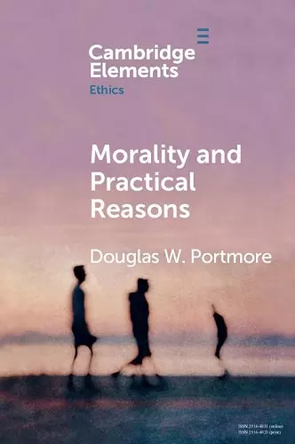 Morality and Practical Reasons cover