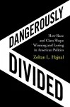 Dangerously Divided cover