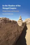 In the Shadow of the Mongol Empire cover
