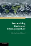 Reexamining Customary International Law cover