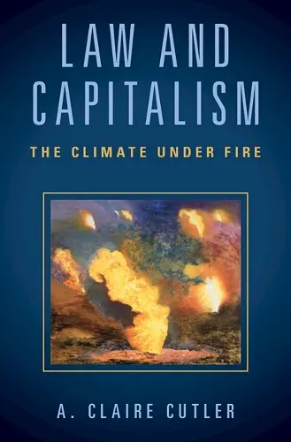 Law and Capitalism cover