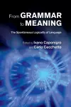 From Grammar to Meaning cover