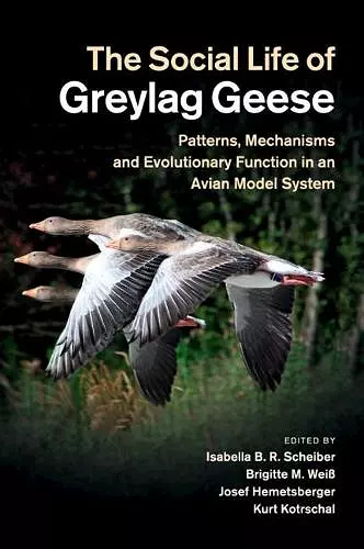 The Social Life of Greylag Geese cover