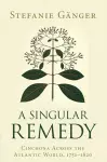 A Singular Remedy cover