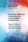 American Affective Polarization in Comparative Perspective cover