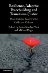 Resilience, Adaptive Peacebuilding and Transitional Justice cover