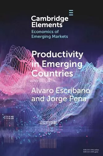 Productivity in Emerging Countries cover