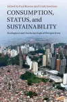 Consumption, Status, and Sustainability cover