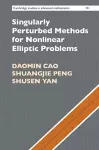 Singularly Perturbed Methods for Nonlinear Elliptic Problems cover