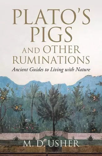 Plato's Pigs and Other Ruminations cover