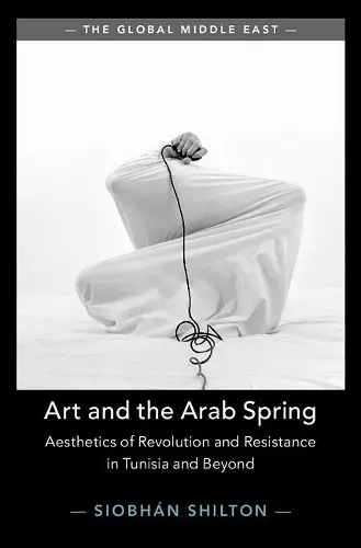 Art and the Arab Spring cover