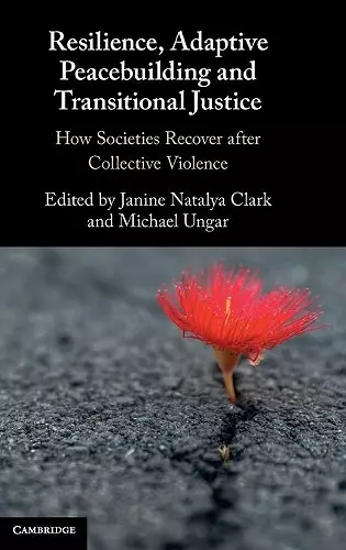 Resilience, Adaptive Peacebuilding and Transitional Justice cover