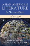 Asian American Literature in Transition, 1965–1996: Volume 3 cover