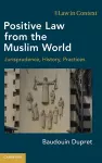 Positive Law from the Muslim World cover