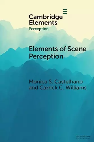 Elements of Scene Perception cover