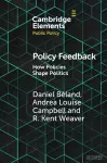 Policy Feedback cover