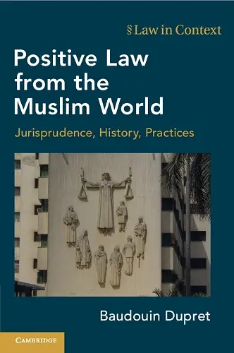 Positive Law from the Muslim World cover