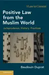 Positive Law from the Muslim World cover