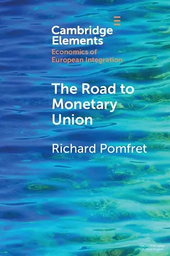 The Road to Monetary Union cover