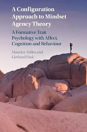 A Configuration Approach to Mindset Agency Theory cover