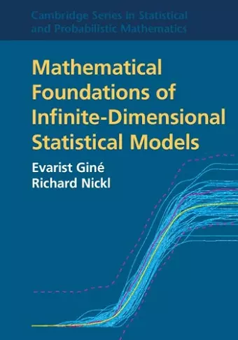 Mathematical Foundations of Infinite-Dimensional Statistical Models cover