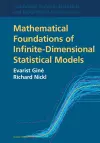 Mathematical Foundations of Infinite-Dimensional Statistical Models cover