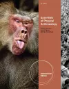 Physical Anthropology: The Essentials, International Edition cover