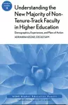 Understanding the New Majority of Non–Tenure–Track Faculty in Higher Education: Demographics, Experiences, and Plans of Action cover