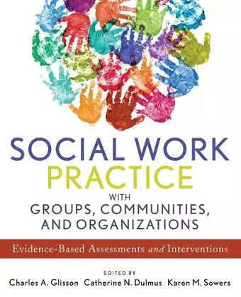 Social Work Practice with Groups, Communities, and Organizations cover