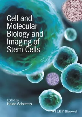 Cell and Molecular Biology and Imaging of Stem Cells cover