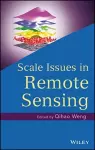 Scale Issues in Remote Sensing cover