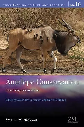 Antelope Conservation cover