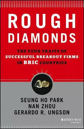 Rough Diamonds cover