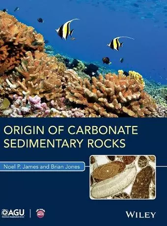 Origin of Carbonate Sedimentary Rocks cover