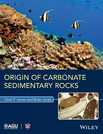 Origin of Carbonate Sedimentary Rocks cover