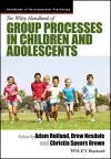 The Wiley Handbook of Group Processes in Children and Adolescents cover