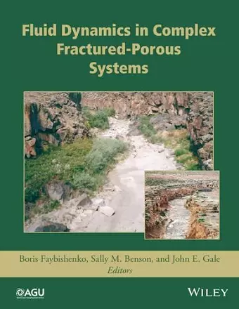 Fluid Dynamics in Complex Fractured-Porous Systems cover