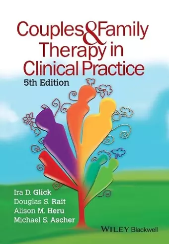 Couples and Family Therapy in Clinical Practice cover