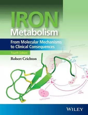 Iron Metabolism cover