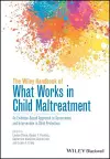 The Wiley Handbook of What Works in Child Maltreatment cover