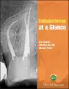 Endodontology at a Glance cover