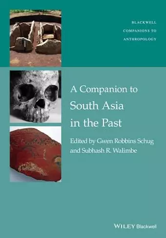 A Companion to South Asia in the Past cover