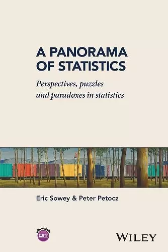 A Panorama of Statistics cover