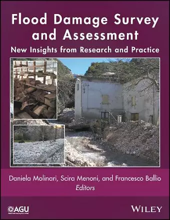 Flood Damage Survey and Assessment cover