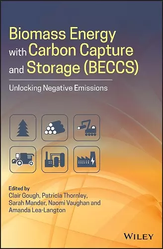 Biomass Energy with Carbon Capture and Storage (BECCS) cover